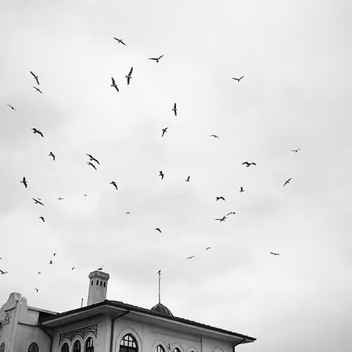 Port