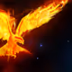 Phoenixs
