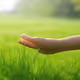 Touch The Grass