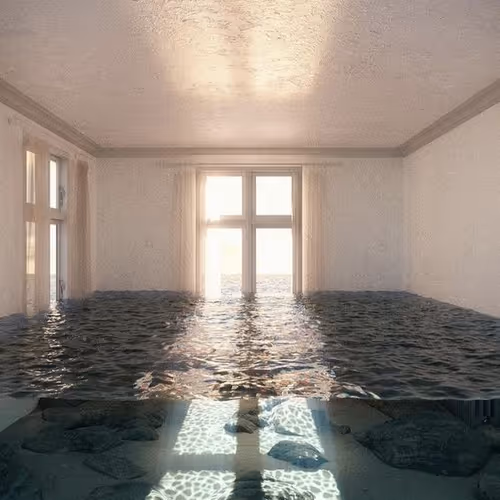 SilentLight@