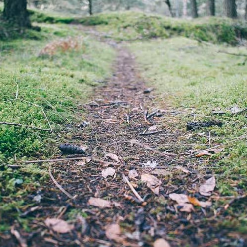 Advertisers Offerings