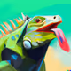 IGUANAS