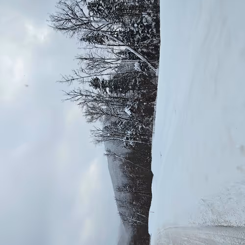 Snow Road