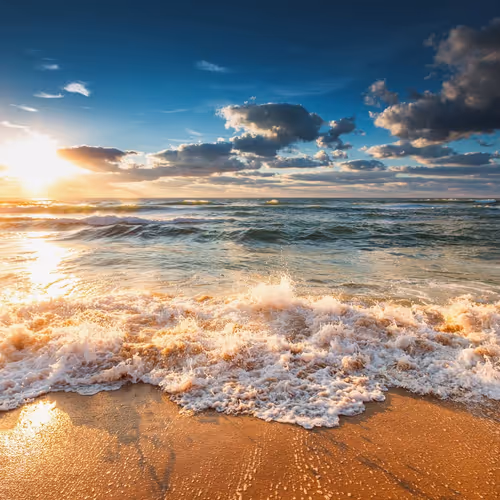 The sea