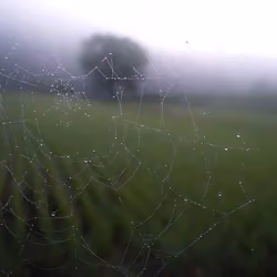 Rivers