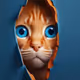 zoracat