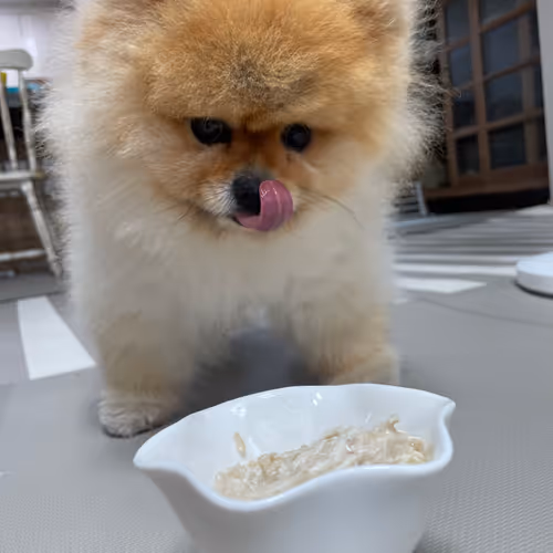 enjoy_dog