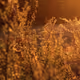 Christianity Roster Cork