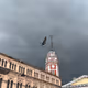 Crow