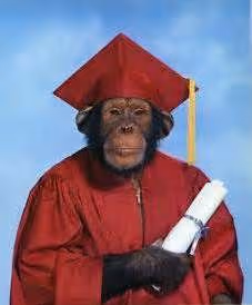 0xb001b397321f8d0f2ed0ccbf20ed9092f8b93e5c