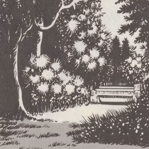 Summer-Garden