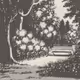Summer-Garden