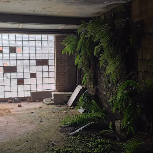 last of us location