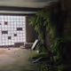 last of us location
