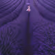 Lavander
