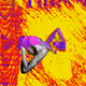 ¢σℓσяє∂