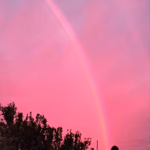 Sunsets enjoy