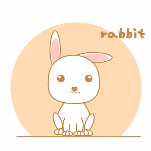 my rabbit