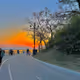 sunset