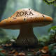a mushroom