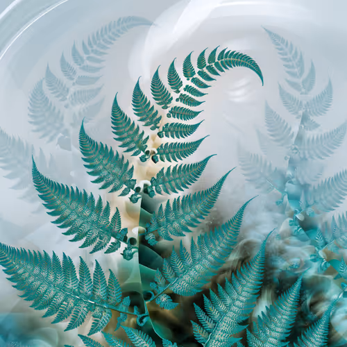 Fractals of nature