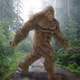 bigfoot