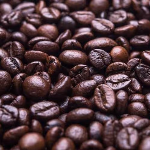 Jon Connection