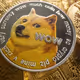 Dog coin