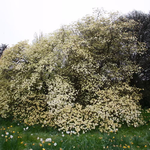 i used to take photos