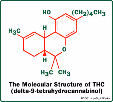 THC