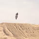 Free Ride