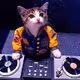 DJ CAT