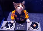 DJ CAT