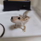 gecko