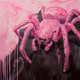 Pink Spider
