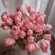Burst into bloom