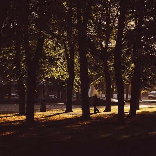 Mods Turkey Survivors