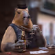 alkocapy