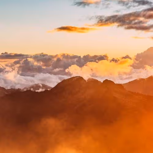 Workers Addresses Lawn