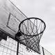 Basketball Fans