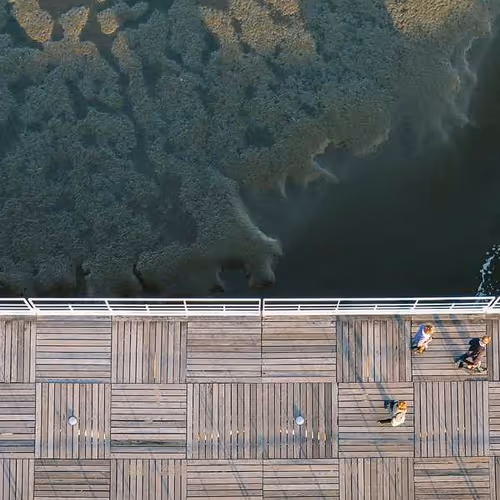 Yugoslavia Offers Sky