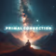 Primal connection