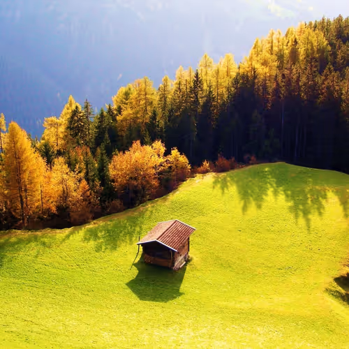the good home