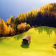 the good home