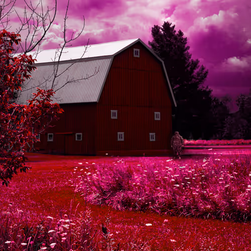 Nature As Alien Scapes