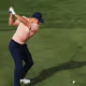 TIGER FOREVER