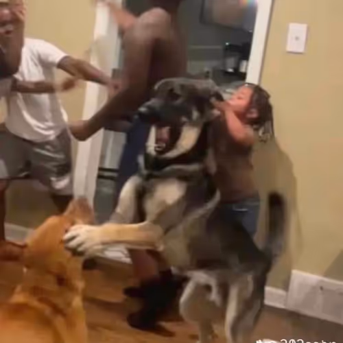 thats not my problem