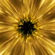Blast Power Free