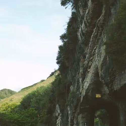 Reviewed Multi Wooden