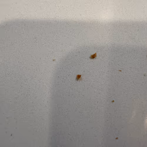Crumbs